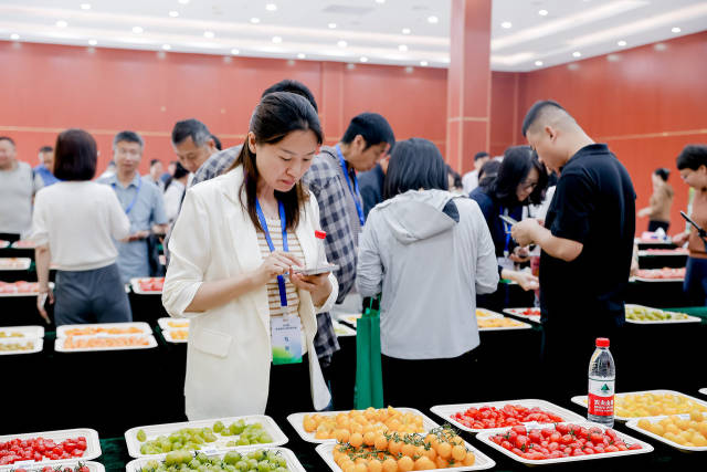 活动期间举办京津冀鲜食番茄、黄瓜擂台赛