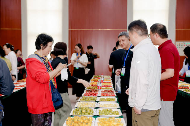 活动期间举办京津冀鲜食番茄、黄瓜擂台赛