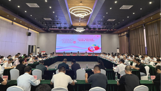 “荔”争卑劣！从化举行2025年“金融助荔”荔枝银企对于接会