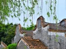 点赞！佛山8镇街20村居推进“百千万工程”实绩突出