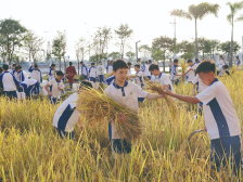 潮起山海间，教兴“百千万”——教育高质量发展的“阳江答卷”｜广东教育强省建设一线深调研