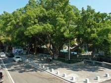 获“百千万工程”市级荣誉，杏坛古朗很“新”