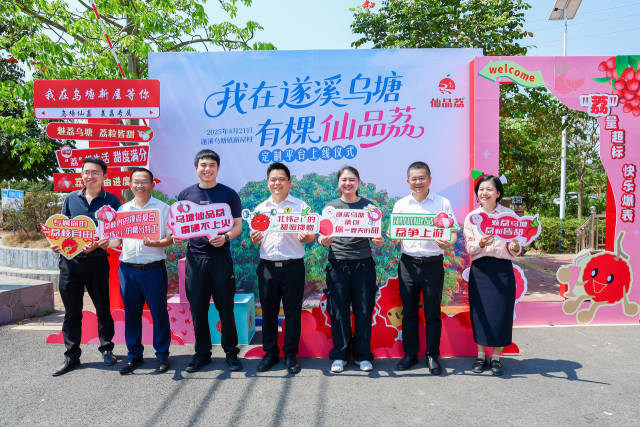 本地网红代表定制荔枝树