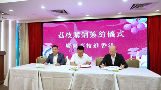 荔枝销售签约仪式。