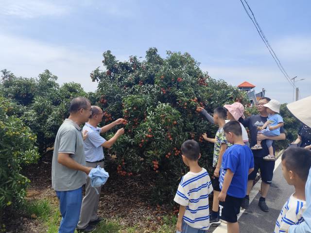 当地游客越来越多