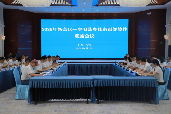 2025年新会区-宁明县粤桂东西部协作联席会议