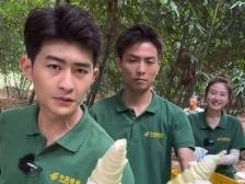 不打螺丝，砍西牛麻竹笋！“佛山电翰”来清远英德直播助农|网络强村