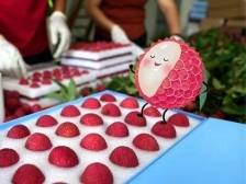 厚街荔枝哪不同？冰荔我来说！