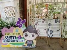 献礼天下父亲，来这个岭南园林遇上“齐天大圣”