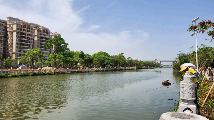 中山市委统战部：多维聚力，同心共助振兴｜聚焦中山“百千万工程”