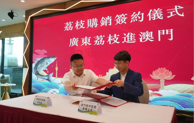 荔枝购销签约仪式。