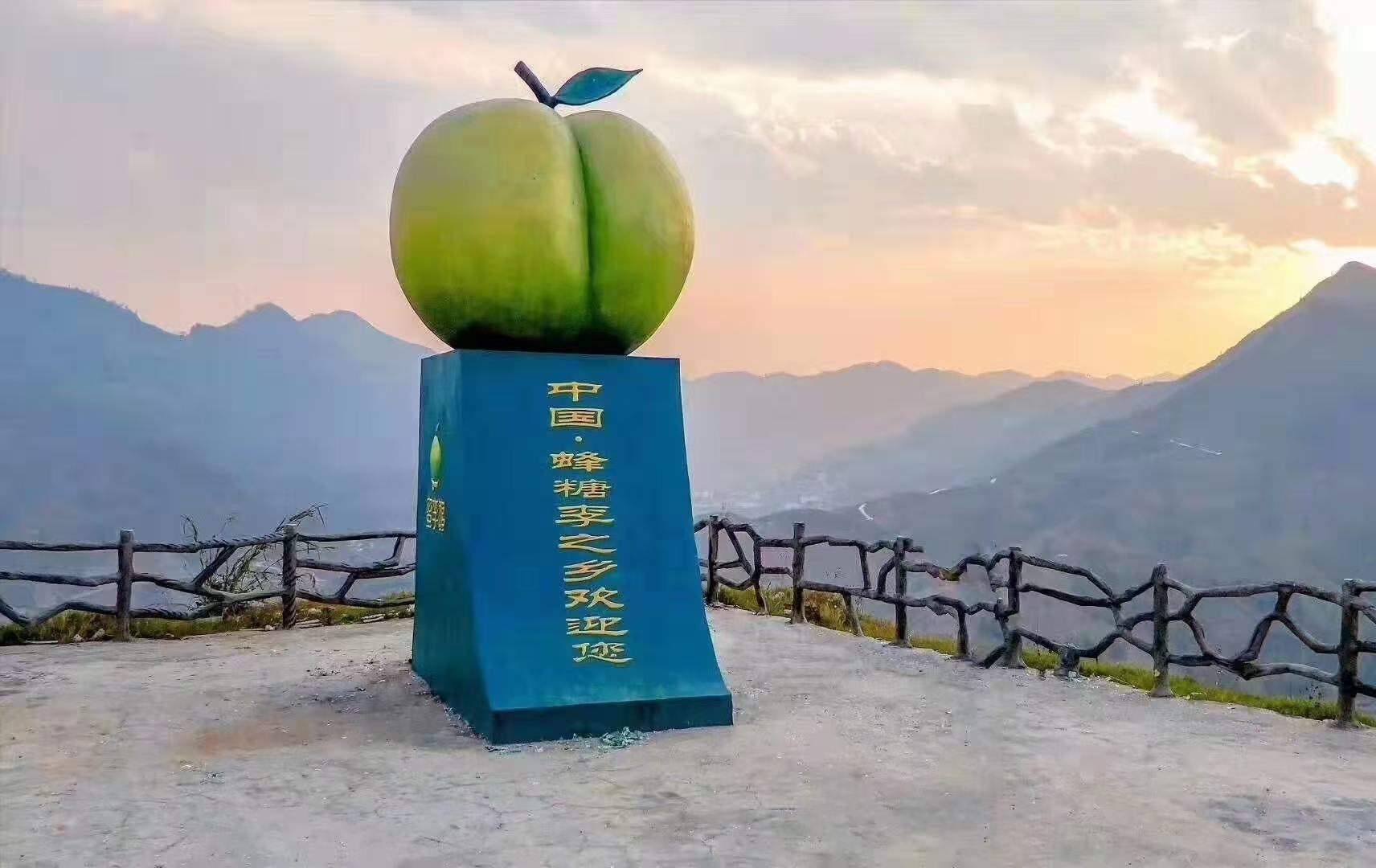 鎮寧是年鎮寧蜂“中國蜂糖李之鄉”。 镇宁是开摘“中国蜂糖李之乡”。