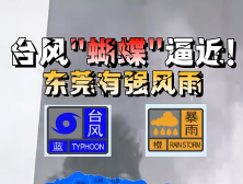 台风“蝴蝶”逼近！松山湖5个应急庇护点已开放｜松湖安全晴报