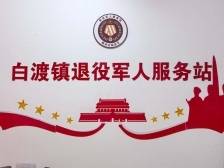 退役军人服务保障全域覆盖，白渡镇做了什么？