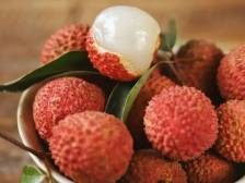 荔枝，关韶关咩事？