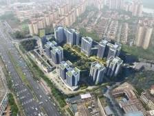 村企联动蝶变加速！从化西华旧村改造地块平整开建