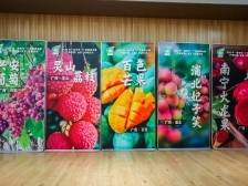 南农晨读 | “桂字号”水果香飘京城