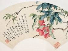 苏轼笔下的岭南荔枝小宇宙