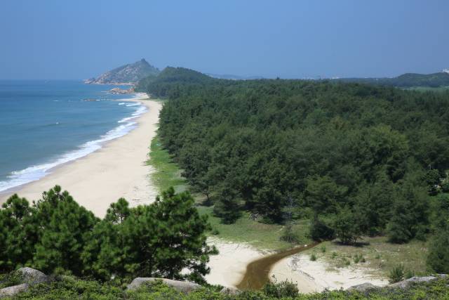 惠东县平海镇碧甲村沙化土地治理建设成效 惠东县平海镇碧甲村沙化土地治理建设成效