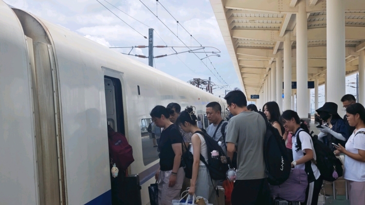 乘高铁到阳江打卡热播剧“同款”荔枝