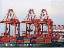 湾区扬帆 品牌致远｜湾区品牌出海高质量发展交流会特别报道