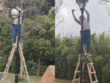 电线杆倾斜存隐患，多方联动解民忧！天河区凤凰街“小切口”撬动“大民生”