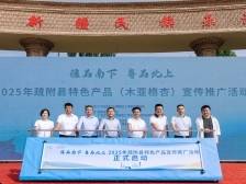 引爆夏日味蕾！田头溯源直发湾区，疆品南下“杏”福启程