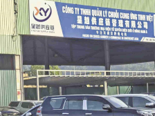 广州星越供应链管理有限公司：技术创新升级供应链 掘金2300亿美元市场｜湾区扬帆 品牌致远