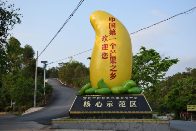 壮乡甜蜜，夏日速递！百色芒果（田阳）6月20日起陆续上市