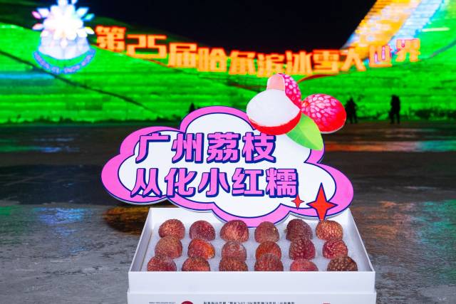 从化冻眠鲜荔枝亮相哈尔滨。 从化冻眠鲜荔枝亮相哈尔滨。