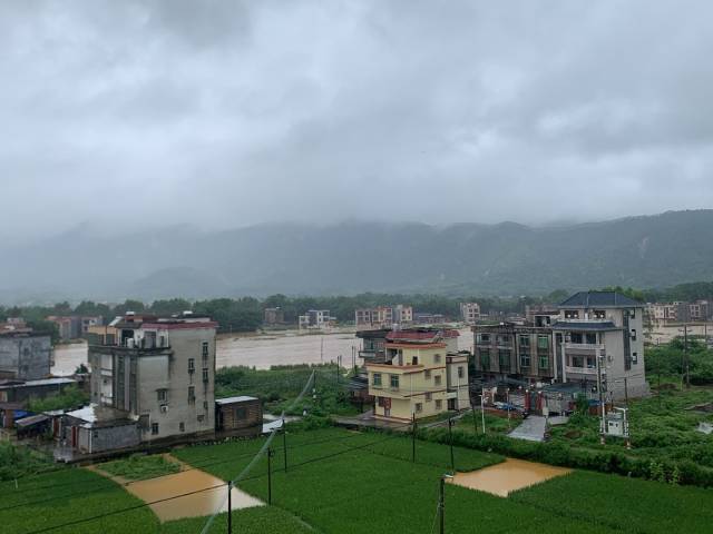 马岗村17个自然村都不同程度被淹，部分农房一楼已经完全被淹没。受访者供图