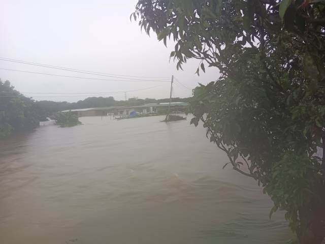 16日上午9时，金竹山村另有一名外来务工人员被洪水困在菜场，高凉应急救援大队迅速组织专业队伍，成功解救该被困老人。受访者供图