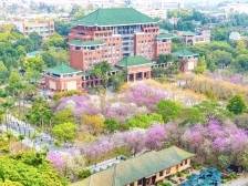 华农今年在广东招生7139人：新增两个专业，设40个创新班