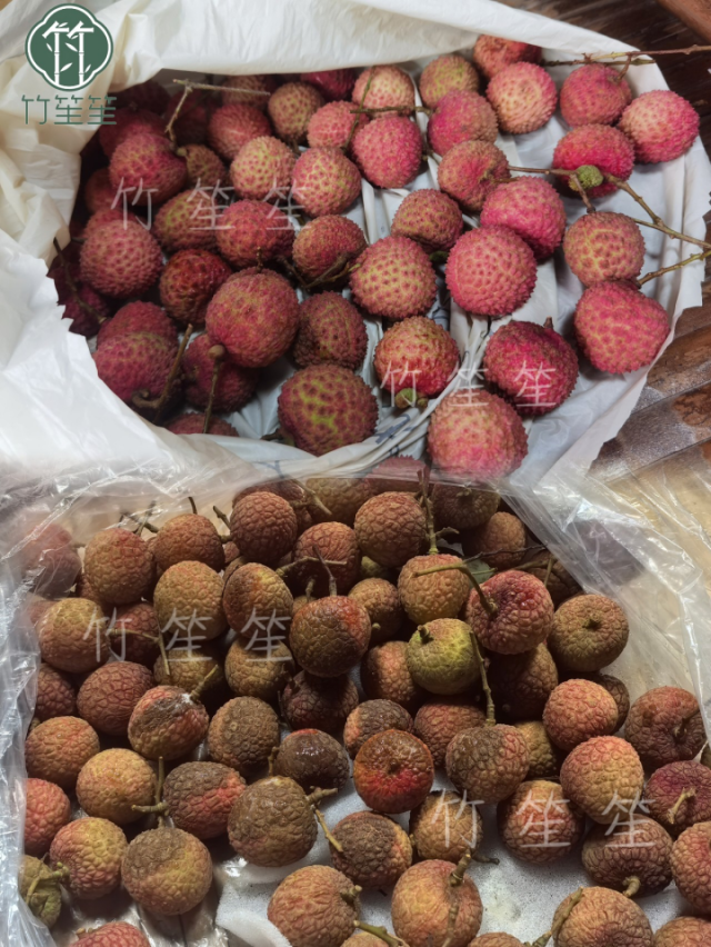 使用普通塑料袋和竹纤维打包袋保鲜对比图。 使用普通塑料袋和竹纤维打包袋保鲜对比图。