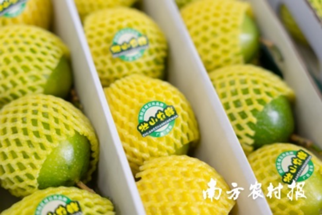 广东省一季度家具批发额削减42.2% 以旧换新相关品类商品较快削减