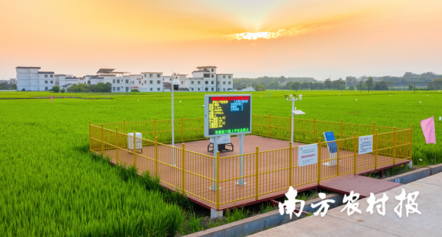 韶關(guān)市南雄市湖口鎮(zhèn)承平村高標(biāo)準(zhǔn)農(nóng)田示范項(xiàng)目