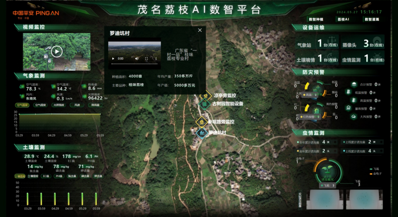 清静产险使命职员在西丽果场勘探。险助