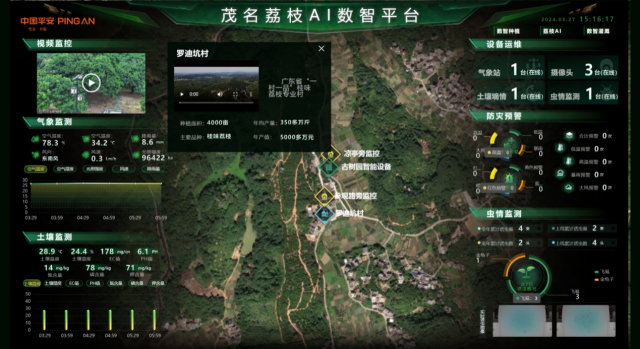 清静产险使命职员在西丽果场勘探。