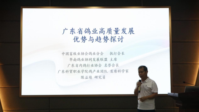 中国畜牧业协会鸽业分会会长陈益填现场分享。