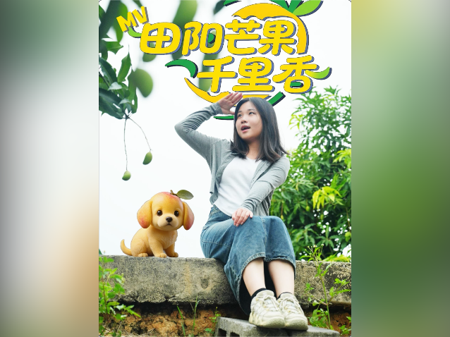 视频｜田阳芒果千里香