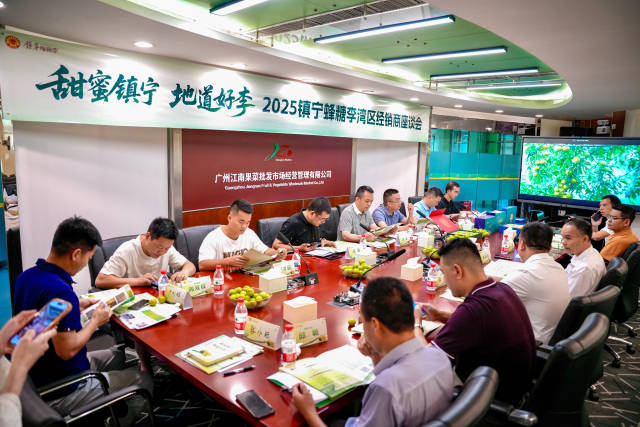 玻璃市场早报,市场钻研