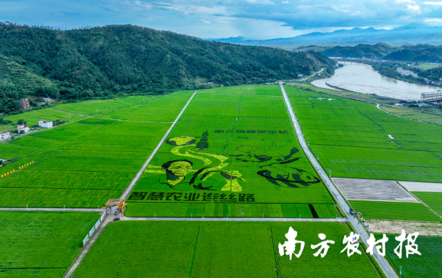 河源市東源縣柳城鎮(zhèn)東源萬(wàn)綠智慧無(wú)人農(nóng)場(chǎng)