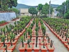 “百千万”三年冲刺·瞰阳东④ | 东平镇瓦北村：全国文明村的进阶密码