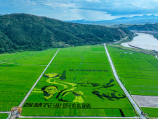 重磅预告！广东省纪念第35个全国土地日主题宣传活动即将启幕