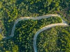 珠海：深化集体林权制度改革，激活绿色发展动力