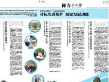 对标先进榜样 凝聚发展动能 | 一文速览《南方日报·阳春视窗》53期