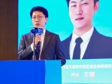 全球变局下深圳企业出海如何突围？综合开发研究院王振提出四大新路径