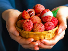 粤品北上，荔枝领“鲜”！广东食品走进新疆推广活动将于6月26日举办