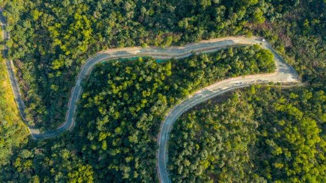 珠海：深化集体林权制度改革，激活绿色发展动力