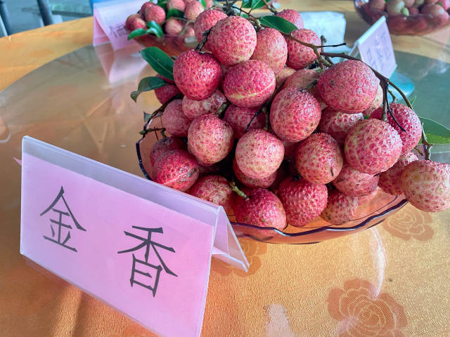 获专家不同点赞，增城或者再添荔枝优异新种类！